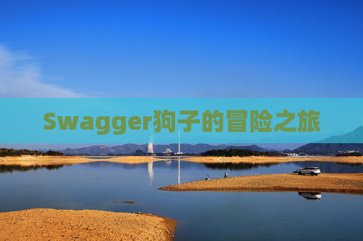 Swagger狗子的冒险之旅