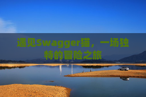 遇见Swagger猫，一场独特的冒险之旅