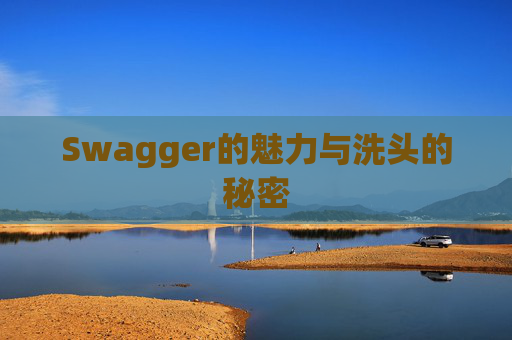 Swagger的魅力与洗头的秘密