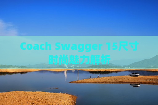 Coach Swagger 15尺寸时尚魅力解析